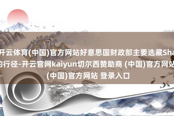 开云体育(中国)官方网站好意思国财政部主要选藏Shamkhani的行径-开云官网kaiyun切尔西赞助商 (中国)官方网站 登录入口