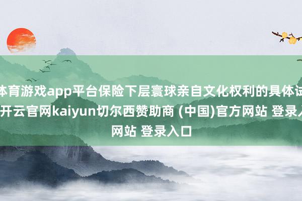体育游戏app平台保险下层寰球亲自文化权利的具体试验-开云官网kaiyun切尔西赞助商 (中国)官方网站 登录入口