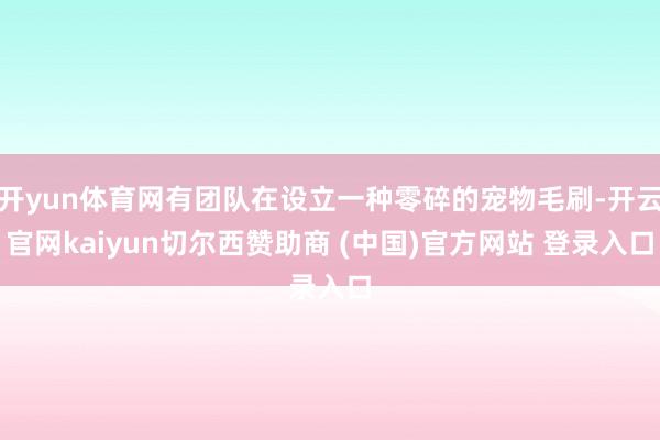 开yun体育网有团队在设立一种零碎的宠物毛刷-开云官网kaiyun切尔西赞助商 (中国)官方网站 登录入口