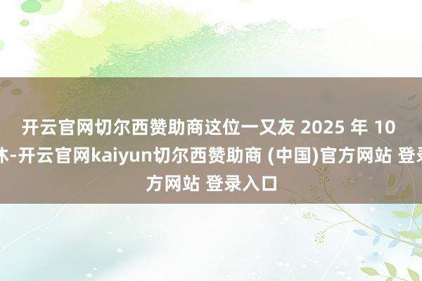 开云官网切尔西赞助商这位一又友 2025 年 10 月退休-开云官网kaiyun切尔西赞助商 (中国)官方网站 登录入口