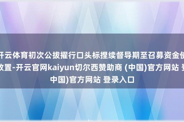 开云体育初次公拔擢行口头标捏续督导期至召募资金使用完毕放置-开云官网kaiyun切尔西赞助商 (中国)官方网站 登录入口