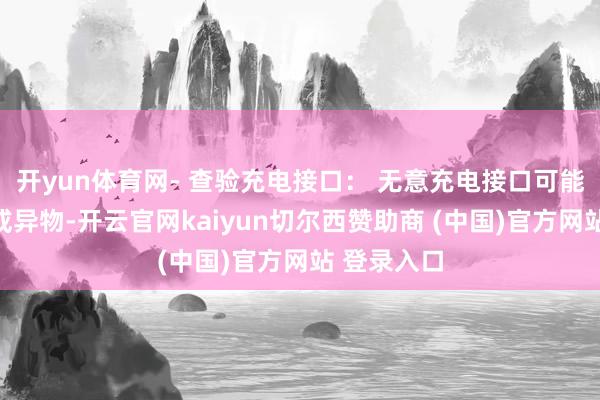 开yun体育网- 查验充电接口： 无意充电接口可能积贮灰尘或异物-开云官网kaiyun切尔西赞助商 (中国)官方网站 登录入口