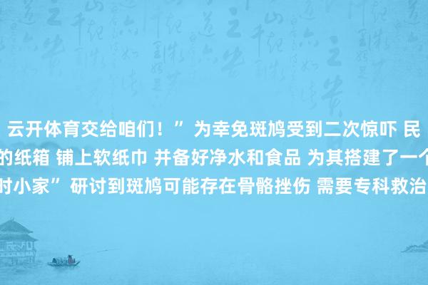 云开体育交给咱们！” 　　为幸免斑鸠受到二次惊吓 　　民警立即找来 　　一个透气的纸箱 　　铺上软纸巾 　　并备好净水和食品 　　为其搭建了一个 　　温煦惬意的“临时小家” 　　研讨到斑鸠可能存在骨骼挫伤 　　需要专科救治 　　民警立即关系 　　当地野天真物保护站 　　详备形容了该斑鸠的情况  　　今日地午 　　保护站责任主谈主员便赶到派出所 　　流程仔细查验 　　它仅仅翅膀有细小擦伤 　　体魄并