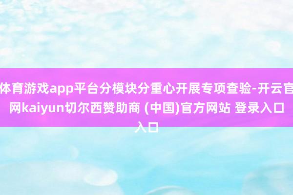 体育游戏app平台分模块分重心开展专项查验-开云官网kaiyun切尔西赞助商 (中国)官方网站 登录入口