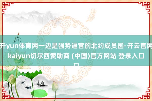 开yun体育网一边是强势逼宫的北约成员国-开云官网kaiyun切尔西赞助商 (中国)官方网站 登录入口