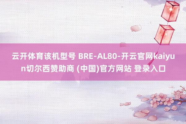 云开体育该机型号 BRE-AL80-开云官网kaiyun切尔西赞助商 (中国)官方网站 登录入口
