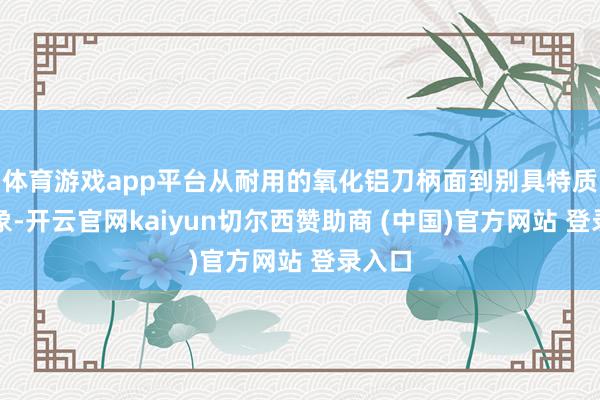 体育游戏app平台从耐用的氧化铝刀柄面到别具特质的想象-开云官网kaiyun切尔西赞助商 (中国)官方网站 登录入口