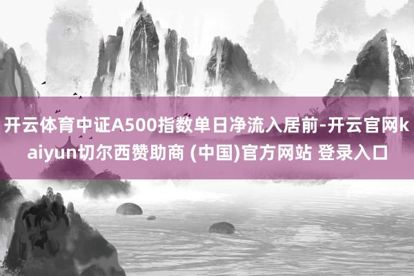 开云体育中证A500指数单日净流入居前-开云官网kaiyun切尔西赞助商 (中国)官方网站 登录入口