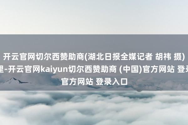开云官网切尔西赞助商(湖北日报全媒记者 胡祎 摄)车厢里-开云官网kaiyun切尔西赞助商 (中国)官方网站 登录入口