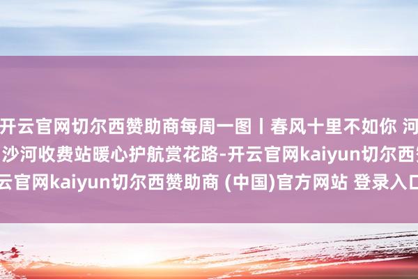 开云官网切尔西赞助商每周一图丨春风十里不如你 河北高速集团石本分公司沙河收费站暖心护航赏花路-开云官网kaiyun切尔西赞助商 (中国)官方网站 登录入口